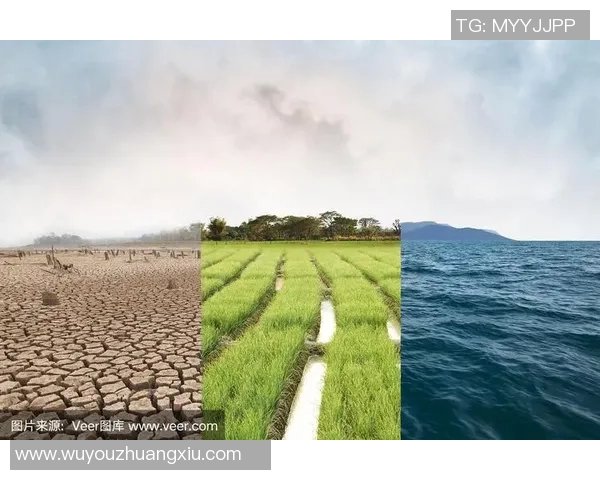 最新研究揭示气候变化对全球农业生产的深远影响及应对策略