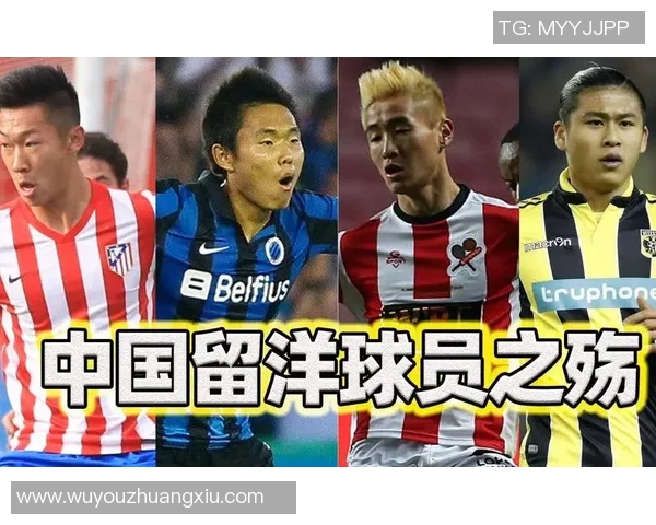 上海篮球队个人能力深度解析与球员发展潜力探讨